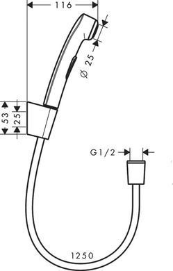 Hansgrohe Гигиенический душ, со шлангом 1,25 м и держателем, &frac12;&rsquo;, шлифованная бронза